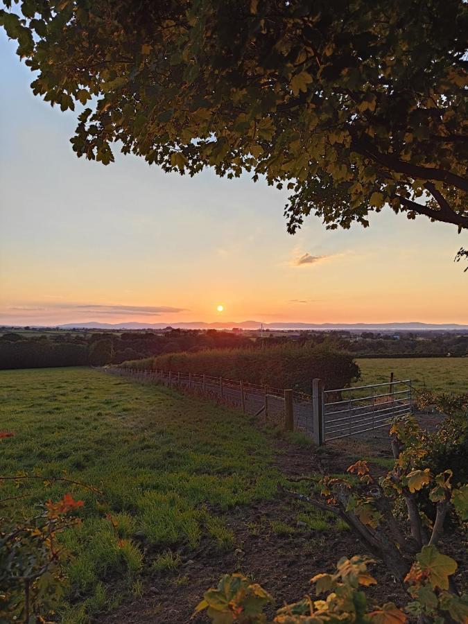 Branch Cottage Limavady Zewnętrze zdjęcie
